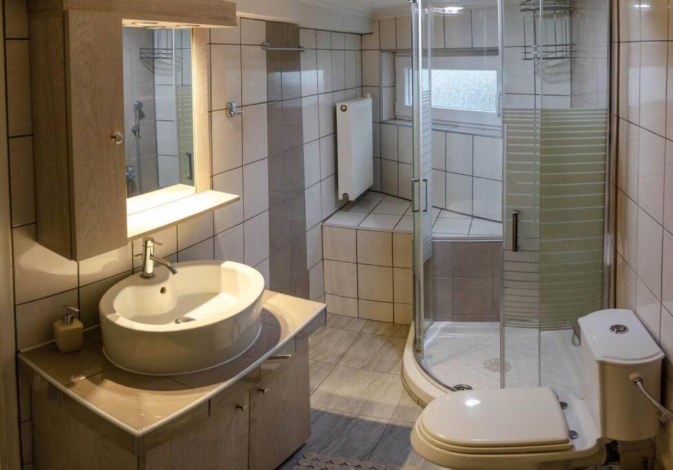 Dimitri'S Mountain House Apartment Karpenísion Екстериор снимка
