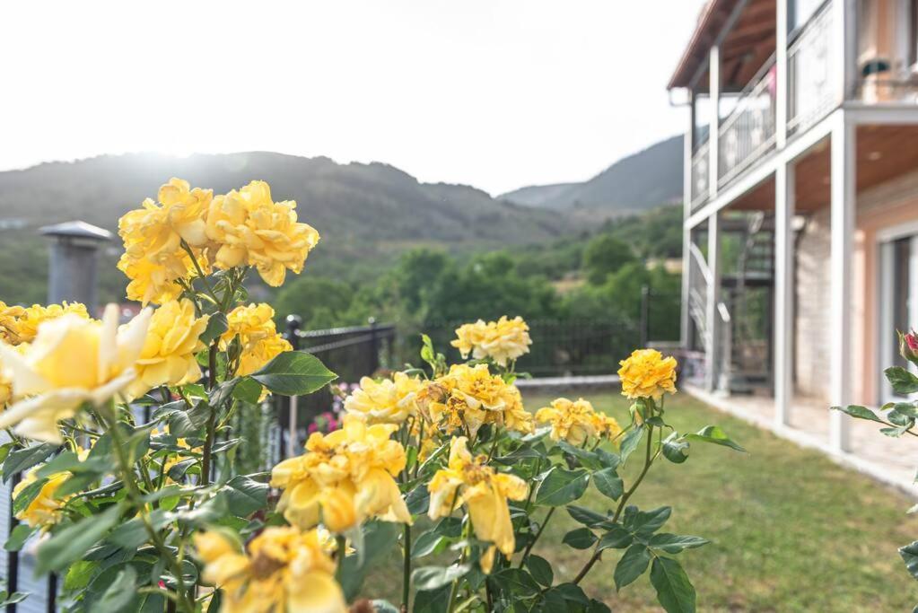 Dimitri'S Mountain House Apartment Karpenísion Екстериор снимка