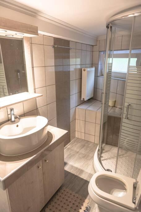 Dimitri'S Mountain House Apartment Karpenísion Екстериор снимка